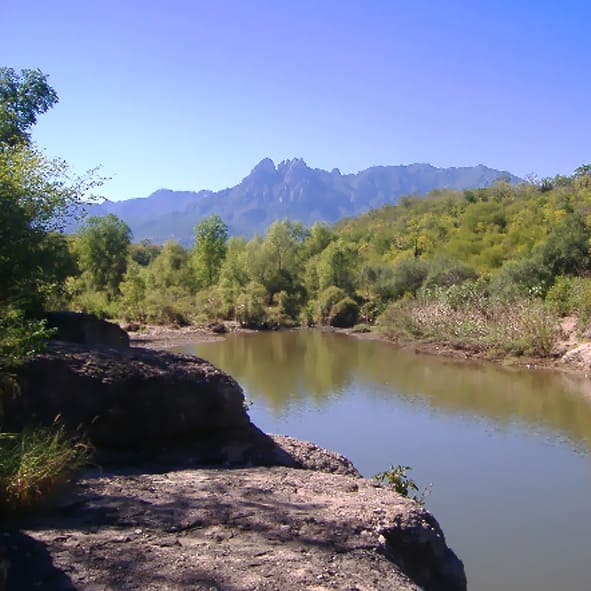 Visitar La Sierra de Álamos y Río Cuchujaqui – SONORA, MARAVILLAS NATURALES